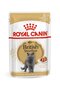 Royal Canin brittiläinen lyhytkarva aikuisille brittiläisille lyhytkarvaisille kissoille,12x85g hinta ja tiedot | Kissanruoka | hobbyhall.fi