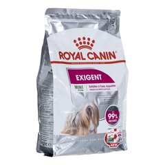 Royal Canin Mini Exigent Adult Poultry aikuisille pienten rotujen koirille, 3 kg hinta ja tiedot | Koiran kuivaruoka | hobbyhall.fi