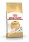 Royal Canin Sphynx Adult Pork sfinksirodun kissoille, 2 kg hinta ja tiedot | Kissan kuivaruoka | hobbyhall.fi