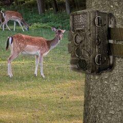 Kamera metsän tarkkailuun hinta ja tiedot | Valvontakamerat | hobbyhall.fi