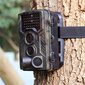 Kamera metsän tarkkailuun hinta ja tiedot | Valvontakamerat | hobbyhall.fi