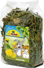 Lisäravintoa jyrsijöille JR Farm Dandelion, 500 g hinta ja tiedot | Pieneläinten ruoat | hobbyhall.fi