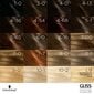 Hiusväri Schwarzkopf Gliss Color 7-7 COPPER DARK BLONDE hinta ja tiedot | Hiusvärit | hobbyhall.fi