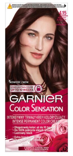 Pitkäkestoinen hiusväri Garnier Color Sensation 110 ml, 4,15 Icy Chestnut hinta ja tiedot | Hiusvärit | hobbyhall.fi