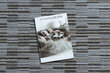 Pyöreä matto LIBRA, raitakuvio, halkaisija 150 cm hinta ja tiedot | Isot matot | hobbyhall.fi