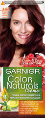 Pitkäkestoinen hiusväri Garnier Color Naturals, Sweet Cherry hinta ja tiedot | Hiusvärit | hobbyhall.fi