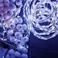 Koristevalot 100 LEDiä hinta ja tiedot | Jouluvalot | hobbyhall.fi