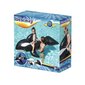 Puhallettava Orca 203 cm x 103 cm Bestway 41009 hinta ja tiedot | Puhallettavat vesilelut ja uima-asusteet | hobbyhall.fi