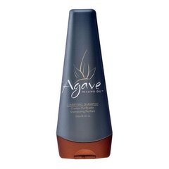 Kosteuttava shampoo Healing Oil Agave (250 ml) hinta ja tiedot | Shampoot | hobbyhall.fi