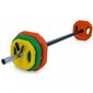 Painosarja Body Pump Sportbay® Pro, 20kg hinta ja tiedot | Käsipainot, kahvakuulat ja voimaharjoittelu | hobbyhall.fi