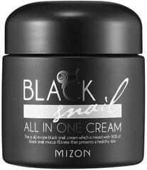 Black Snail All In One Cream Secret Cream hinta ja tiedot | Mizon Hajuvedet ja kosmetiikka | hobbyhall.fi