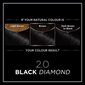 Pysyvä väriaine Olia 2.0 Black Diamond Garnier Ammoniakkivapaa (4 Kappaletta) hinta ja tiedot | Hiusvärit | hobbyhall.fi
