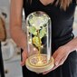 Kristalliruusu kupussa 21 cm hinta ja tiedot | Kestoruusut | hobbyhall.fi