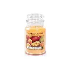 Yankee Candle Large Jar kynttilä Mango Peach Salsa 623 g hinta ja tiedot | Kynttilät ja kynttilänjalat | hobbyhall.fi