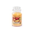 Yankee Candle Large Jar kynttilä Mango Peach Salsa 623 g