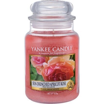 Yankee Candle Sun-Drenched Apricot Rose tuoksukynttilä 623 g hinta ja tiedot | Kynttilät ja kynttilänjalat | hobbyhall.fi