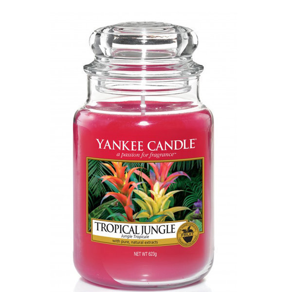 Yankee Candle Tropical Jungle tuoksukynttilä 623 g hinta ja tiedot | Kynttilät ja kynttilänjalat | hobbyhall.fi
