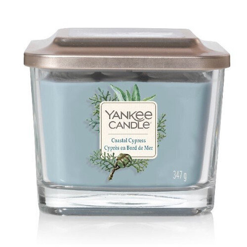 Tuoksukynttilä Yankee Candle Coastal Cypress 347 g. hinta ja tiedot | Kynttilät ja kynttilänjalat | hobbyhall.fi