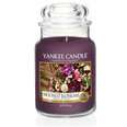 Yankee Candle Moonlit Blossoms tuoksukynttilä 623 g