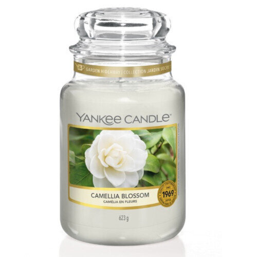 Yankee Candle Camellia Blossom tuoksukynttilä 623 g hinta ja tiedot | Kynttilät ja kynttilänjalat | hobbyhall.fi