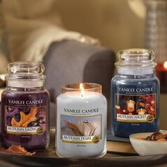 Tuoksukynttilä Yankee Candle Autumn Pearl 104 g hinta ja tiedot | Kynttilät ja kynttilänjalat | hobbyhall.fi