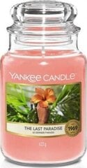 Yankee Candle Tuoksukynttilä the Last Paradise 623g hinta ja tiedot | Yankee Candle Huonekalut ja sisustus | hobbyhall.fi