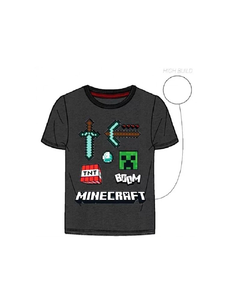 Minecraft TNT Boys T-paita, harmaa hinta ja tiedot | Poikien paidat | hobbyhall.fi