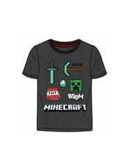 Minecraft TNT Boys T-paita, harmaa hinta ja tiedot | Poikien paidat | hobbyhall.fi