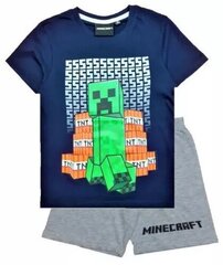 T-paita ja shortsit setti pojille Minecraft hinta ja tiedot | Poikien kokoasut ja setit | hobbyhall.fi