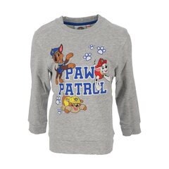 Lasten neule Paw Patrol, harmaa hinta ja tiedot | Poikien paidat | hobbyhall.fi