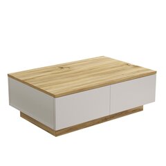 Sohvapöytä 90cm x 31,6 cm x 60cm valkoinen hinta ja tiedot | Sohvapöydät | hobbyhall.fi