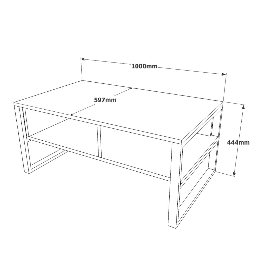 Sohvapöytä 100cm x 44,4cm x 59,7cm harmaa hinta ja tiedot | Sohvapöydät | hobbyhall.fi