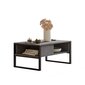 Sohvapöytä 100cm x 44,4cm x 59,7cm harmaa hinta ja tiedot | Sohvapöydät | hobbyhall.fi