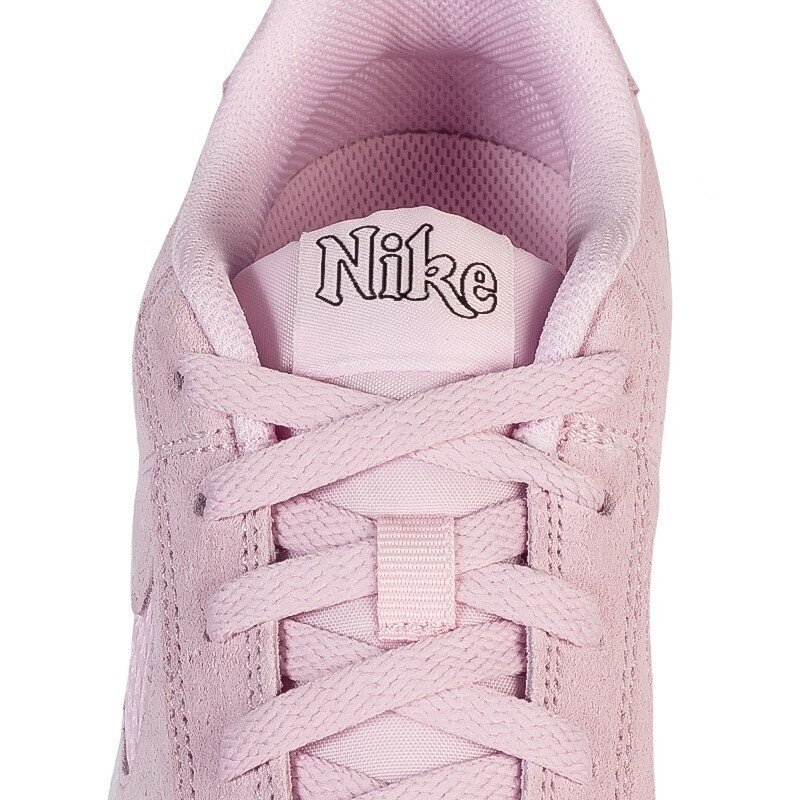 Nike Jalkineet Wmns Court Royale Prem Pink hinta ja tiedot | Naisten urheilu- ja vapaa-ajan kengät | hobbyhall.fi