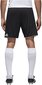 Adidas Shortsit Tastigo17 Shorts Black hinta ja tiedot | Miesten shortsit | hobbyhall.fi