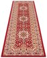 Kapea matto Nouristan Mirkan Parun Tabriz 80x250 cm, punainen hinta ja tiedot | Isot matot | hobbyhall.fi