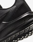 Nike Jalkineet Wmns Downshifter 10 Black hinta ja tiedot | Naisten urheilu- ja vapaa-ajan kengät | hobbyhall.fi