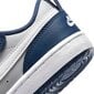 Nike Jalkineet Court Borough Low 2 Blue Grey BQ5451 016 hinta ja tiedot | Lasten urheilukengät | hobbyhall.fi