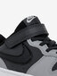 Nike Jalkineet Court Borough Low 2 Grey BQ5451 014 hinta ja tiedot | Lasten kengät | hobbyhall.fi