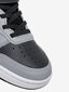 Nike Jalkineet Court Borough Low 2 Grey BQ5451 014 hinta ja tiedot | Lasten kengät | hobbyhall.fi