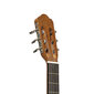 Sähköklassinen kitara Angel Lopez Graciano SM-CE hinta ja tiedot | Kitarat | hobbyhall.fi
