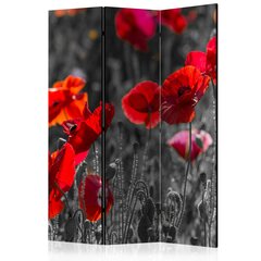 Sermi - Red Poppies [Room Dividers] hinta ja tiedot | Sermit ja tilanjakajat | hobbyhall.fi