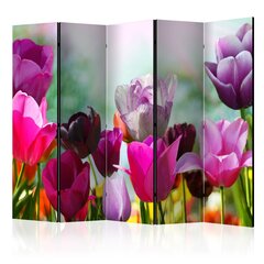 Sermi - Beautiful Tulips II [Room Dividers] hinta ja tiedot | Sermit ja tilanjakajat | hobbyhall.fi