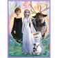 Trefl Frozen 2, palapeli + muistipeli hinta ja tiedot | Palapelit | hobbyhall.fi