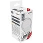 Avide LED-lamput 10W A60 E27 4000K, 3 kpl. hinta ja tiedot | Lamput | hobbyhall.fi