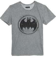 Miesten t-paita Batman, harmaa hinta ja tiedot | Miesten T-paidat | hobbyhall.fi