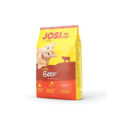 Josera Josicat Tasty naudanliha, 650 g hinta ja tiedot | Kissan kuivaruoka | hobbyhall.fi