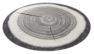 Matto Hanse Home Tree Trunk Grey, 200x200 cm hinta ja tiedot | Isot matot | hobbyhall.fi