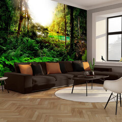 Valokuvatapetti - In tropics 300x210 cm hinta ja tiedot | Valokuvatapetit | hobbyhall.fi