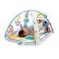 Aktivointimatto Baby Einstein 4-in-1 Kickin' Tunes™ hinta ja tiedot | Leikkimatot | hobbyhall.fi